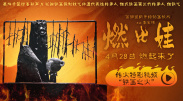 杜比视界