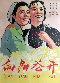 720p蓝光